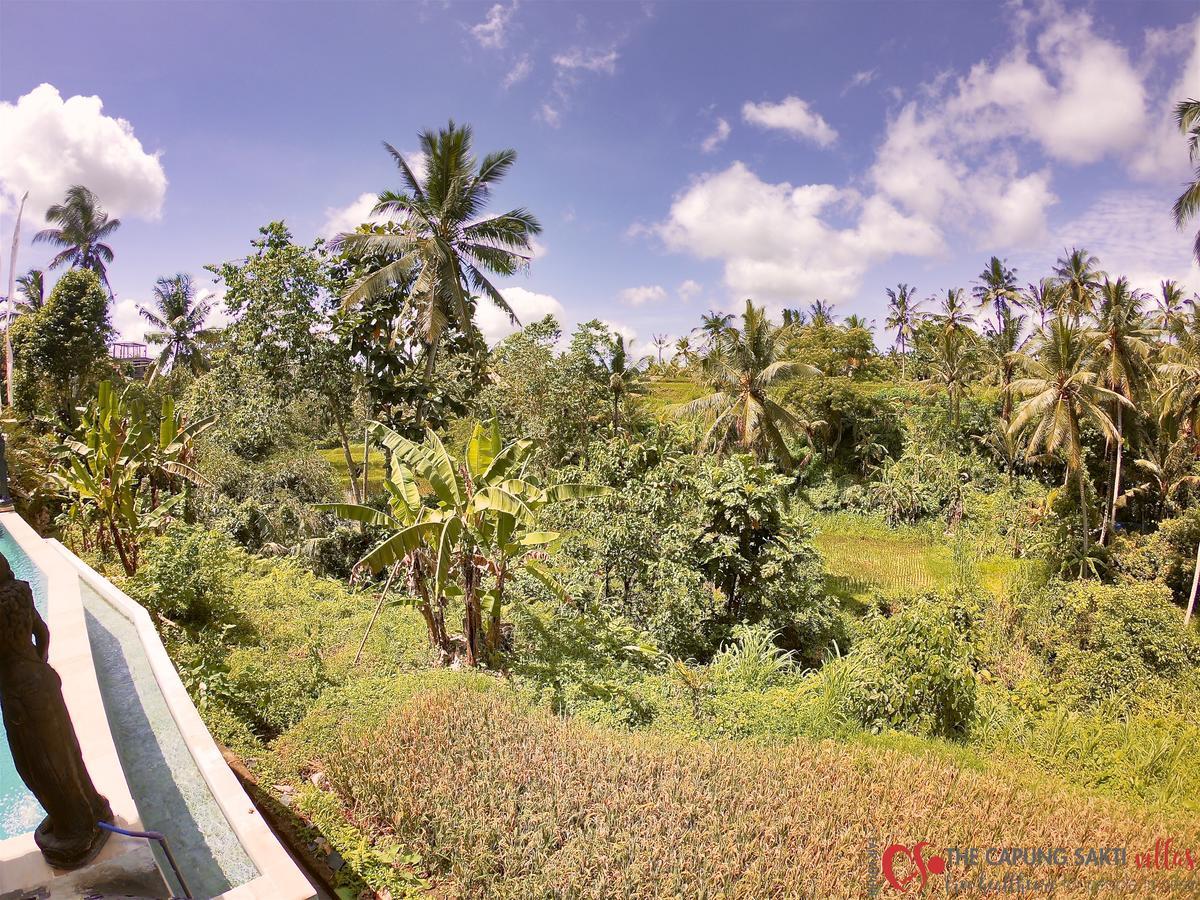 Capung Sakti Villas Ubud Exterior foto